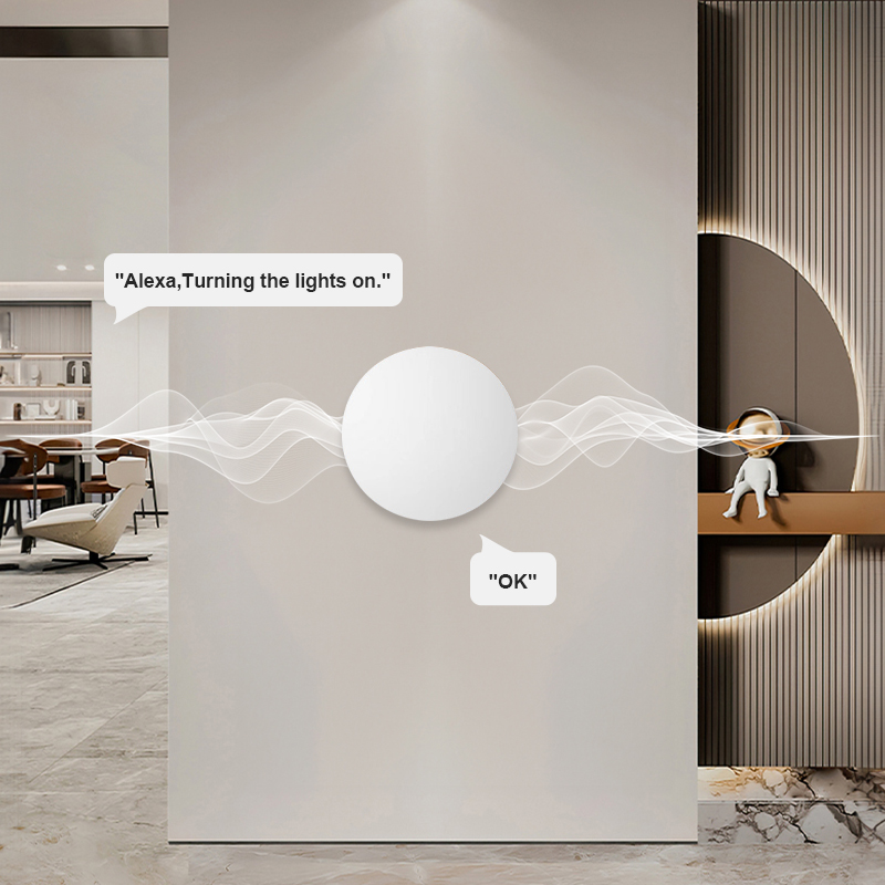 ZigBee Smart Wireless Button S - đánh giá và giá Diy Electronics Button